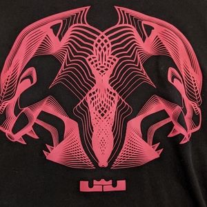 Nike LeBron James Dri-Fit T-shirt